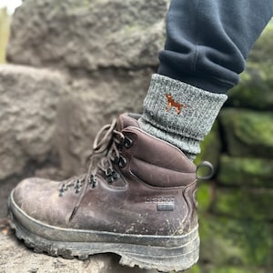 Fox Red Lab Labrador (TWO PAIRS) Gift Men&#39;s Wool Blend Boot Socks with Cushion Sole from The House Of Dog x 2 PAIRS. One Size Men&#39;s 6-11