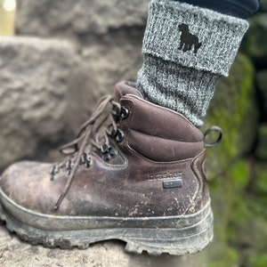 Cockapoo Gift (DEUX PAIRES) Chaussettes pour hommes en mélange de laine, semelle coussin de The House Of Dog x 2 PAIRES. Taille unique homme 7-11