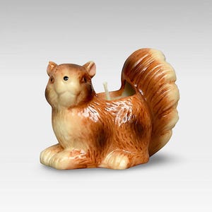 May include: A brown and white ceramic squirrel candle holder with a small white candle inside. The squirrel has a bushy tail and a cute face.