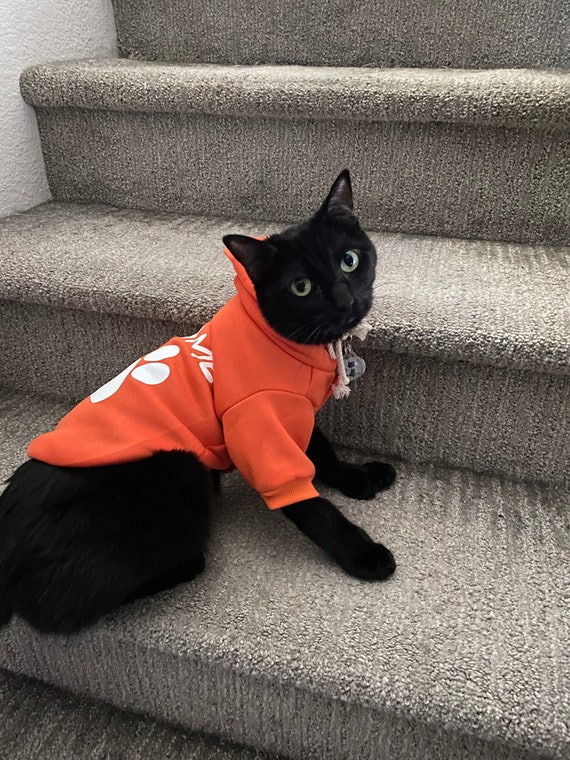Custom Personalized Cat Sweater Etsy UK