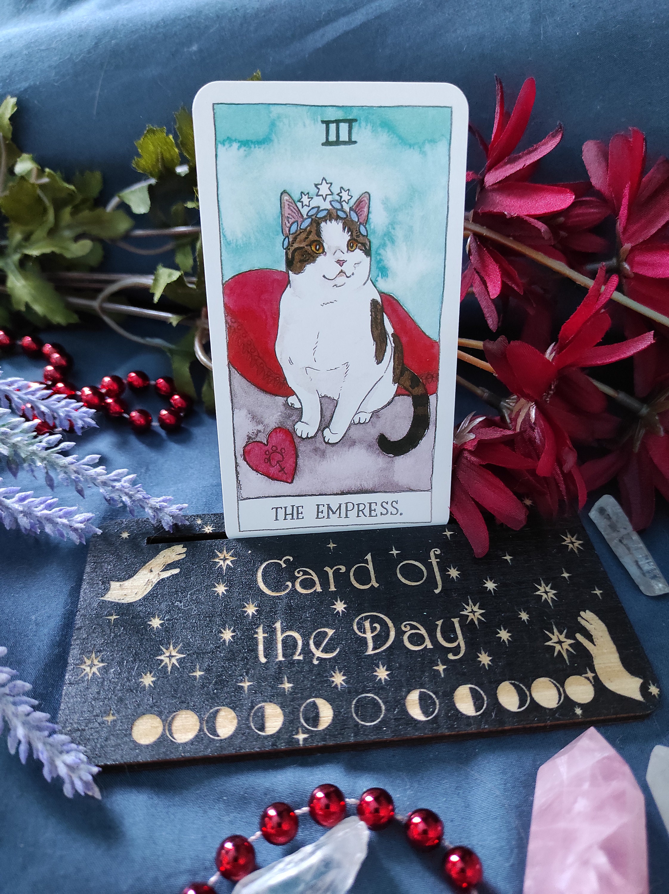Cat tarot deck with box and card holder tarot card deck Etsy