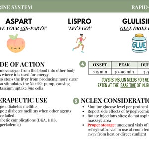 Pharmacology Flashcard Set - Etsy