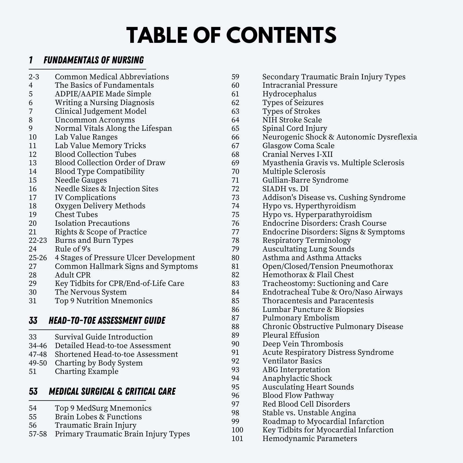 The Nursing School Comprehensive Bundle | 2025 Edition