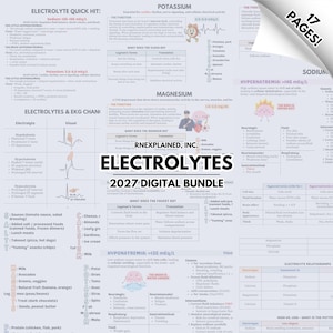 May include: A digital bundle titled "ELECTROLYTES 2027" with detailed medical information. The image features charts on electrolytes, including sodium, potassium, and magnesium, with related medical data and visual aids. The pages are white with black text.