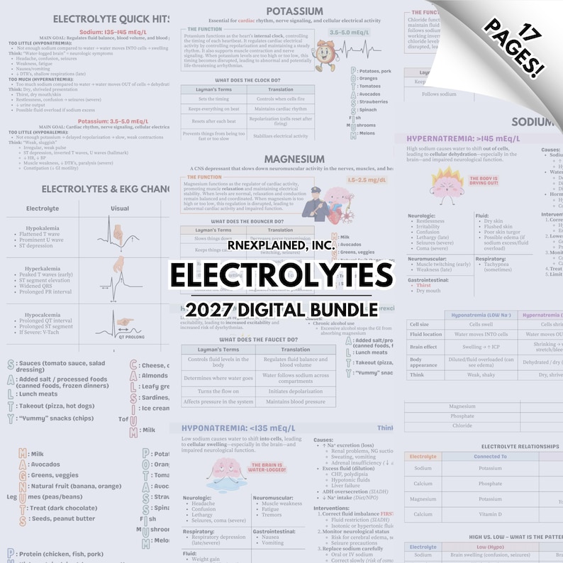 May include: A digital bundle titled "ELECTROLYTES 2027" with detailed medical information. The image features charts on electrolytes, including sodium, potassium, and magnesium, with related medical data and visual aids. The pages are white with black text.