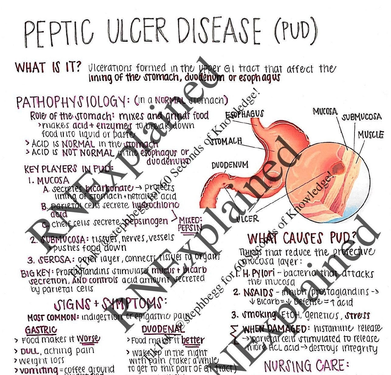nursing case study on peptic ulcer