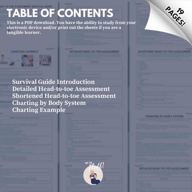 Head-to-Toe Assessment Guide - Digital image 2