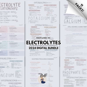 Electrolyte Nursing Bundle - Digital