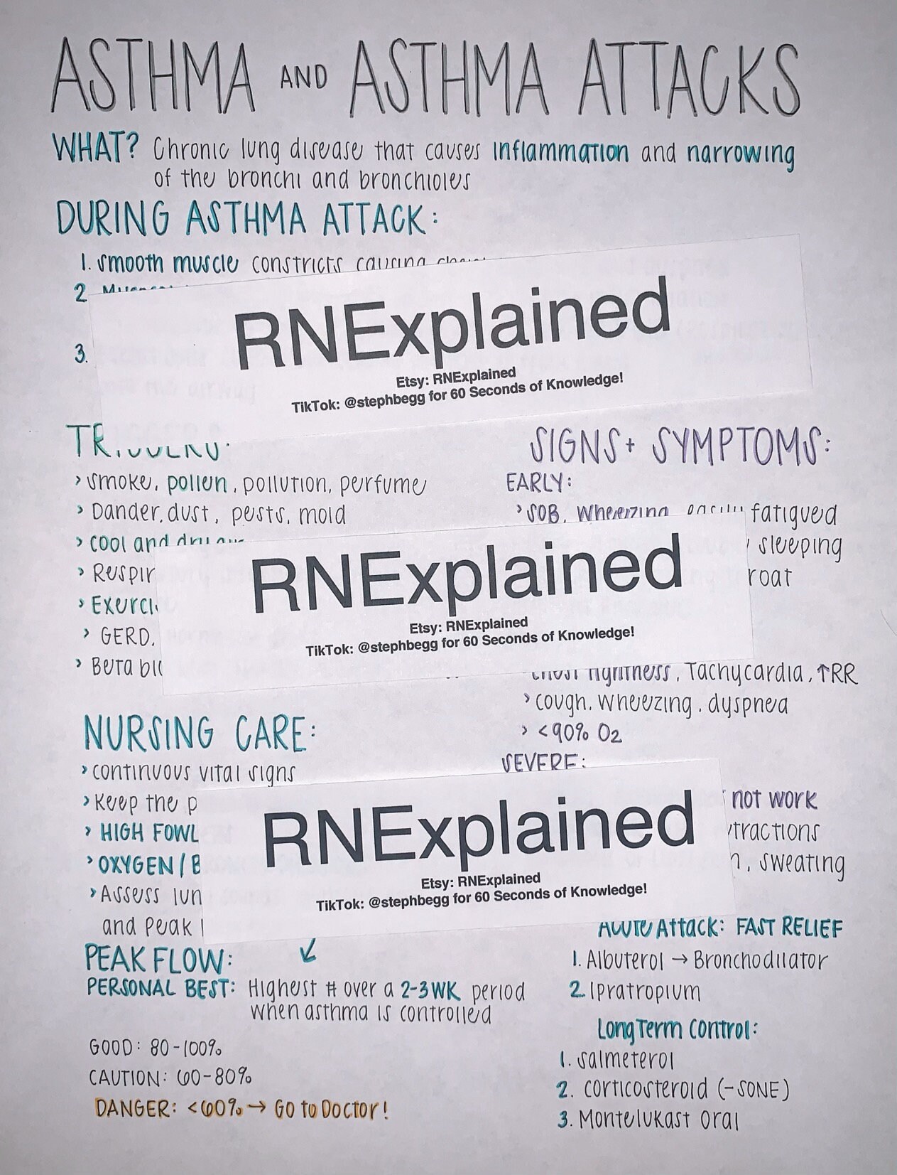 Asthma Attacks Nursing Study Sheets Etsy