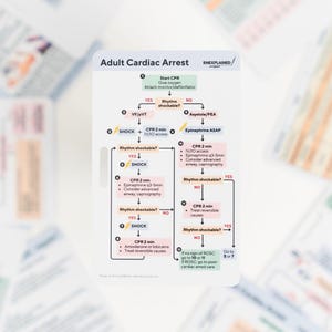 Peut inclure: Une carte blanche avec un organigramme intitulé "Arrêt cardiaque de l'adulte" contenant des instructions médicales. Le tableau comprend les étapes de la RCP, de la défibrillation et de l'administration de médicaments. La carte a une mise en page claire et organisée.