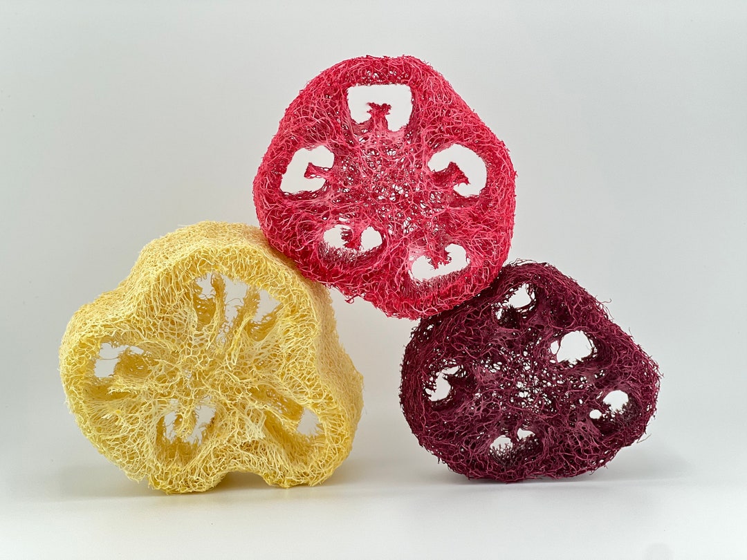 Flavored Loofahs Bunny Loofah Chew, Rabbit Loofah Chew, and Other Small Pet Loofah Chew All