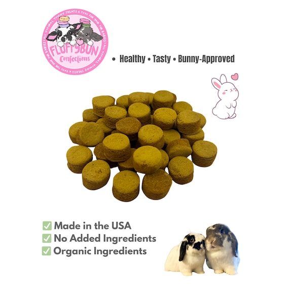 Organic Pumpkin Macarons | Healthy Rabbit & Guinea Pig Treats