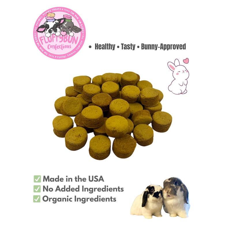 Organic Pumpkin Macarons | Healthy Rabbit & Guinea Pig Treats afbeelding 1