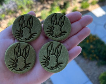 Cilantro Cookie Bunny Treats – All-Natural Rabbit Treats for Rabbits and Guinea Pigs
