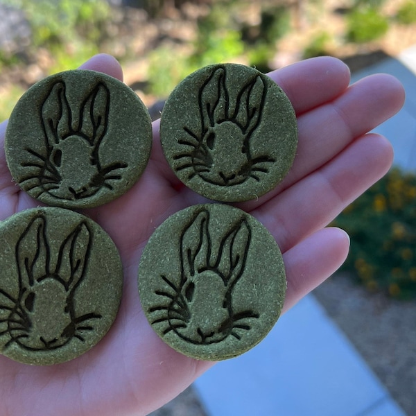 Cilantro Cookies |  100% Organic and Healthy Treats for Rabbits, Guinea Pigs, and Other Small Pets