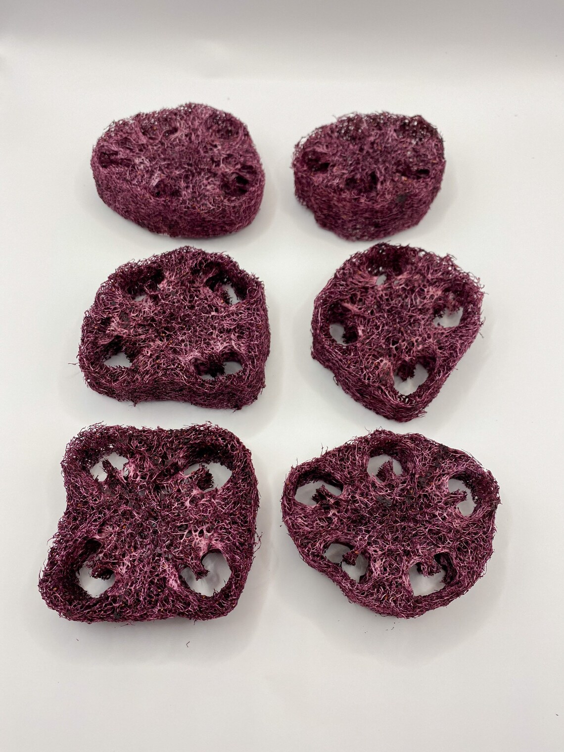 Flavored Loofahs Bunny Loofah Chew Rabbit Loofah Chew and Etsy