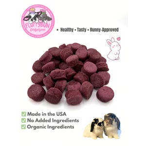 Cranberry Bunny Treats – All-natural Rabbit Treats for Rabbits and ...
