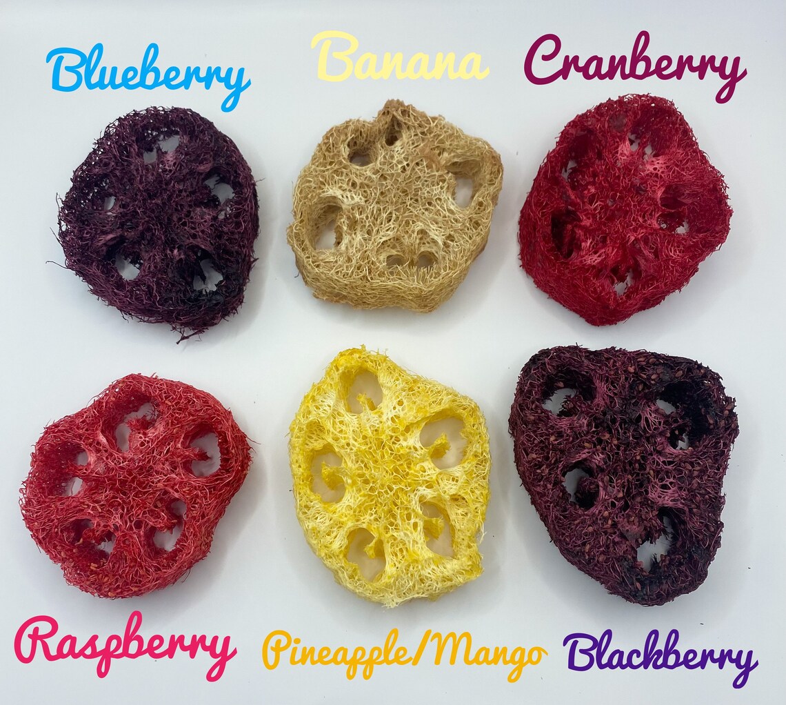 Flavored Loofahs Bunny Loofah Chew Rabbit Loofah Chew and Etsy