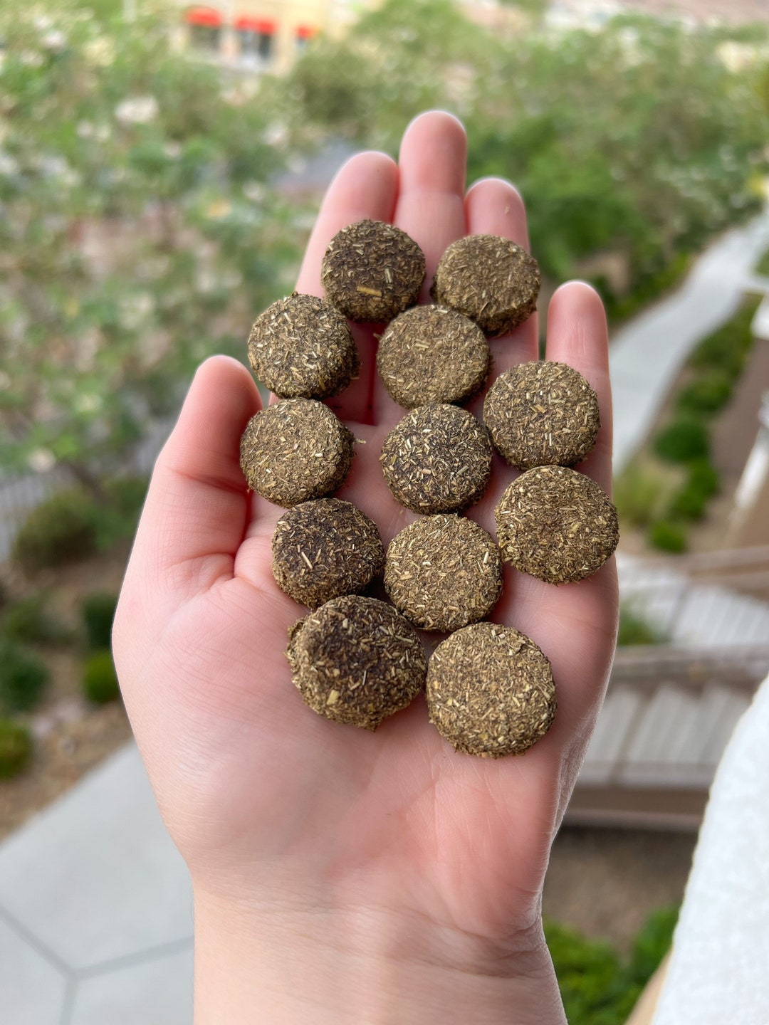 Oat Free Bunny Macarons Bunny Treats, Rabbit Treats, Guinea Pig Treats