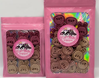 Colorful Bunny Treats – All-Natural Rabbit Treats for Rabbits and Guinea Pigs
