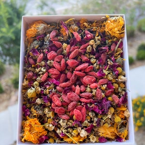 Bunnies Garden Forage Mix | Bunny Forage, Rabbit Forage | Organic, Natural & Safe
