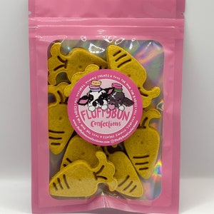 Organic Oat & Carrot Bunny Treats | Handmade Small Pet Food