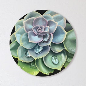 Succulents painting, Painting on canvas, Oil painting, Oil original painting, Succulents oil painting, Wall art decor, Oil painting art