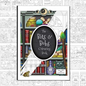Könnte beinhalten: Schwarz-weiß Malbuch mit dem Titel "The Bits & Bobs Colouring Book". Die Illustration zeigt ein Fantasy-Regal mit Schriftrollen, Tränken und einer Eule. Mit einem Frosch.