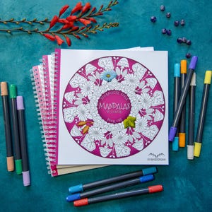 K&ouml;nnte beinhalten: Ein spiralgebundenes Malbuch mit dem Titel Stormseye Style Mandalas to Colour Book One, das ein kreisf&ouml;rmiges Mandala-Design mit Blumen und Pilzen zeigt. Das Cover enth&auml;lt eine blaue Blume und ein gr&uuml;nes Blatt. Mehrere bunte Filzstifte liegen um das Buch herum.