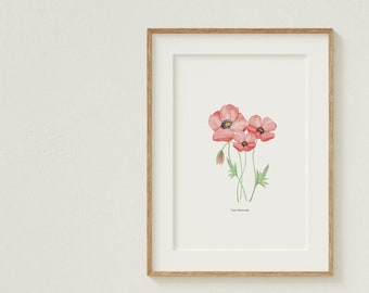 Print amapolas acuarela, acuarela floral, impresión floral, print floral, lámina acuarela, láminas para regalar, art print, decoración pared