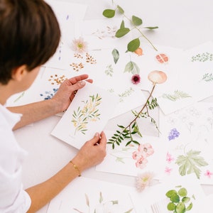 Stampa Mimosa A5/Acquerello botanico A5/Acquerello floreale/Stampa floreale/Mimosa botanica/Stampa regalo/Stampa artistica regalo/Decorazione murale