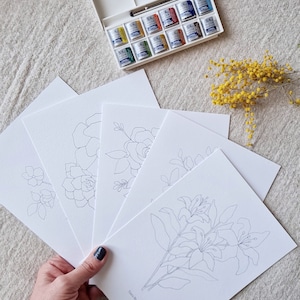 Set to paint botanical sheets in watercolor / Set to learn watercolor painting / Set for creative people and watercolor materials