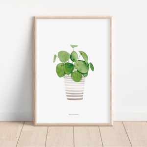 Botanisches Pilea A4-Blatt/Botanischer Druck/Botanischer Druck/Botanische Illustration/Pilea-Aquarell/Botanische Drucke/Geschenkblatt