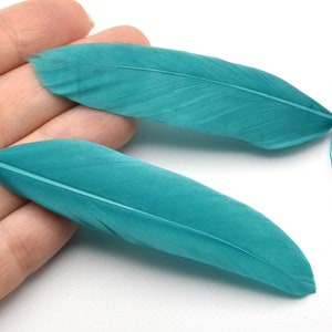 Peut inclure: Deux plumes turquoise avec des boucles en métal doré attachées. Les plumes sont d'un bleu-vert vibrant et ont un aspect doux et texturé. Les boucles dorées suggèrent qu'elles sont destinées à l'artisanat ou à la bijouterie.