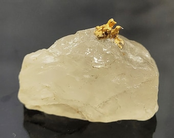 樹枝状ワイヤー金天然金結晶標本 - カリフォルニア州エルドラド郡