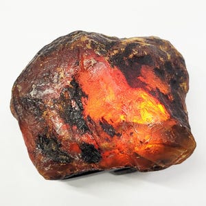 Pietra grezza di ambra baltica: pietra preziosa grezza da 481 ct