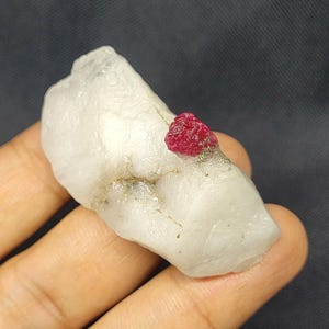 May include: A raw, uncut gemstone featuring a vibrant red ruby crystal formation atop a white, opaque mineral base. The ruby is small, with a rough, textured surface. The mineral base has a slightly uneven surface.