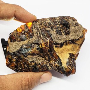 Pietra grezza di ambra baltica: pietra preziosa grezza da 405 ct