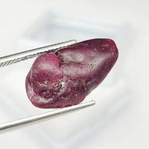 May include: A raw, deep red gemstone held by silver-toned metal tweezers. The stone has an irregular, organic shape with a textured, matte surface and subtle variations in colour intensity across its uneven, bumpy, and naturally formed exterior.