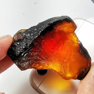 Ambra baltica naturale grezza: pietra preziosa da 71,00 ct