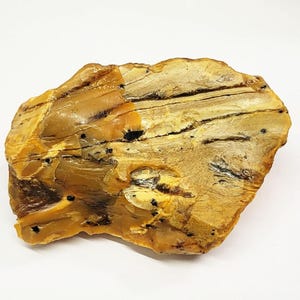 Pietra preziosa di ambra baltica grezza: ambra grezza naturale da 338 carati