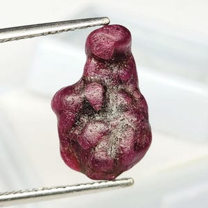 May include: A raw, unpolished ruby gemstone with a deep, saturated red colour and a natural, irregular, lumpy texture. The stone is held by a pair of silver-toned metal tweezers, showcasing its organic shape and dark, translucent red hues.