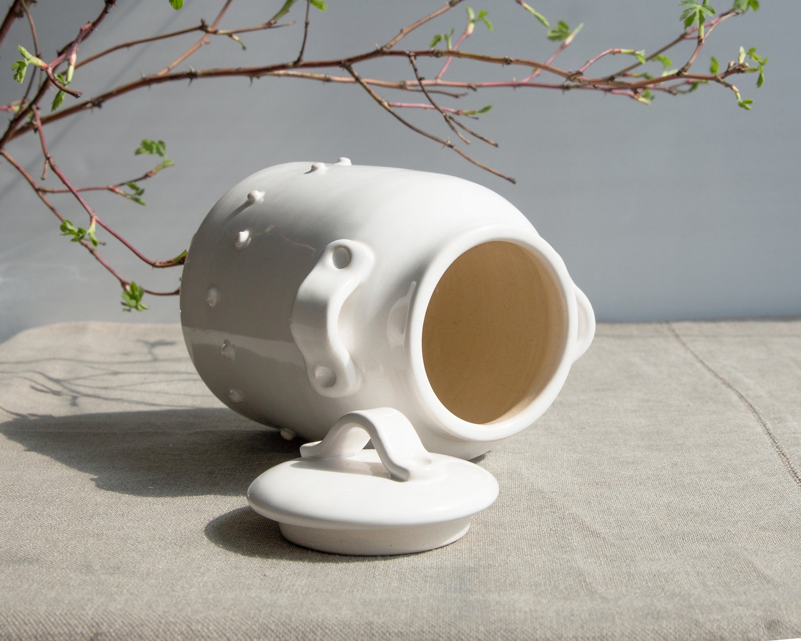 Ceramic jar handmade. Pottery tea jar. White Jar with Lid. Etsy