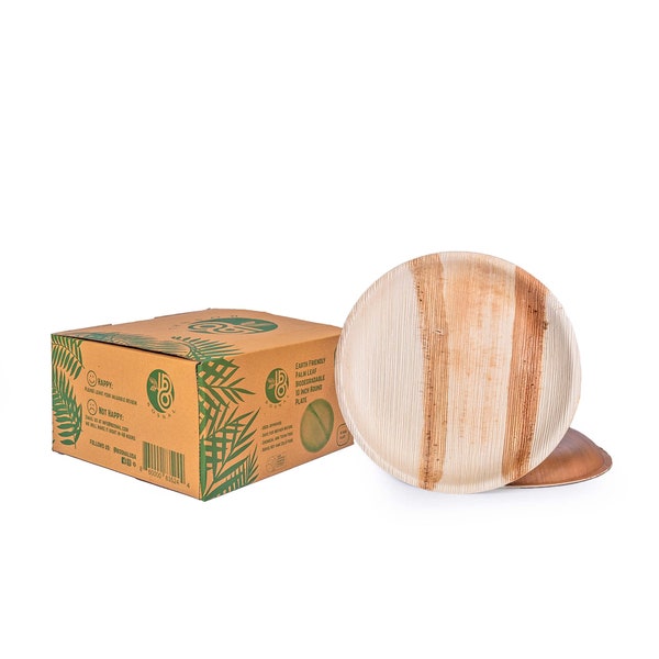 10 Palm Leaf Plates Etsy