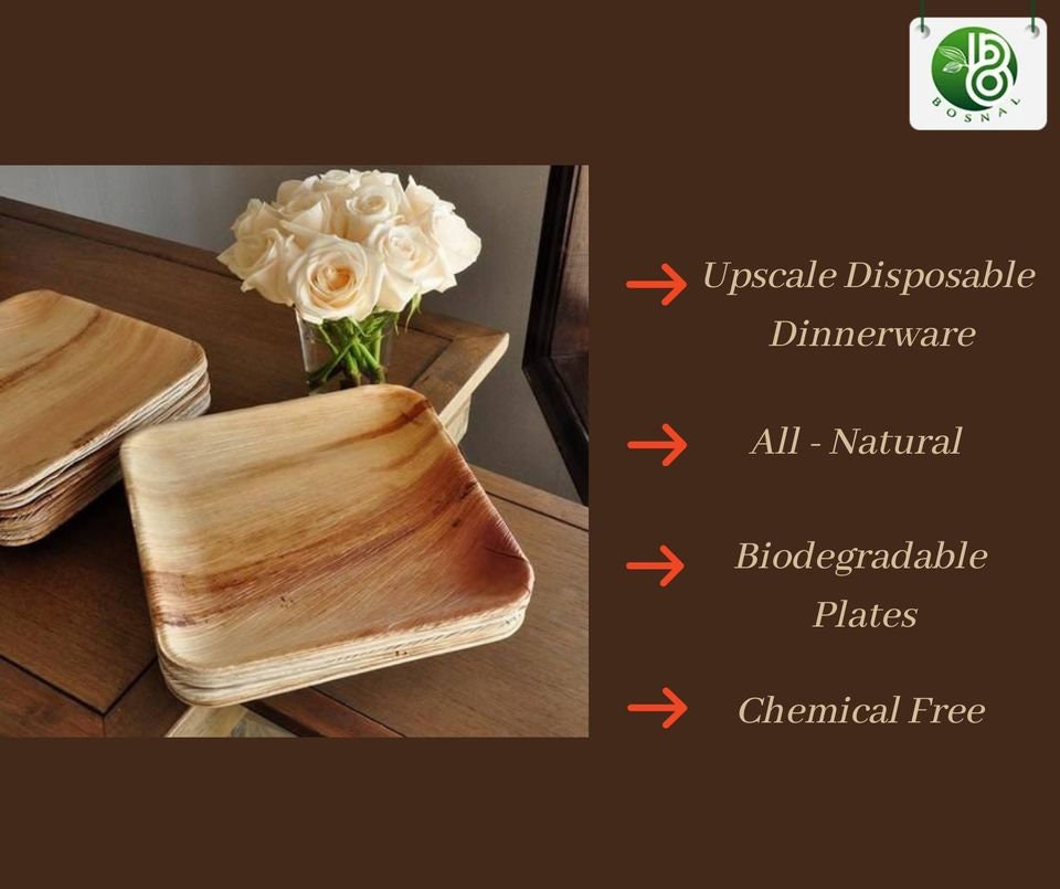 Pro Grade Biodegradable 10 inch Plates