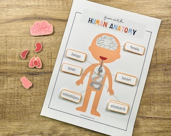 Human Anatomy Printable, Learning Human Body, Anatomy Game, Preschool Printable, Homeschool Activity, My Body Parts, Human Anatomy Activity
