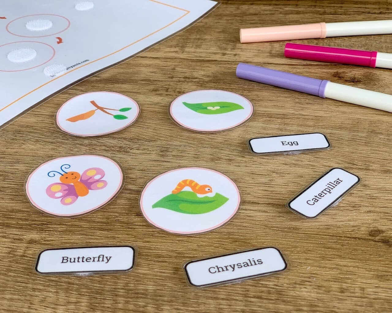 Butterfly Printable Learning Life Cycle Nature Study - Etsy