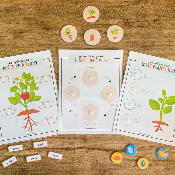 Parti della pianta, Ciclo di vita della pianta, Attività della pianta, Studio della natura, Pianta Montessori, Scienze prescolari, Stampabile a casa, Attività per bambini