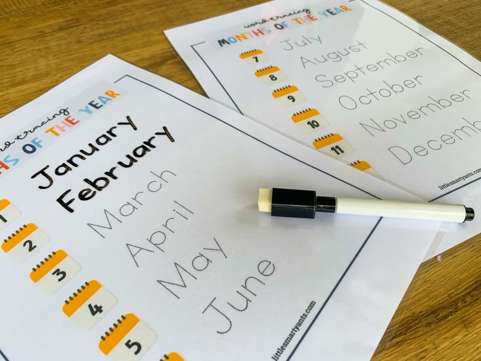 Months of the Year Months Learning Printable Classroom - Etsy