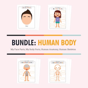 Busy Book, Human Body, Face Parts, Body Parts, Human Anatomy, Skeleton Printable, Homeschool, Preschool Printable, Montessori Activities